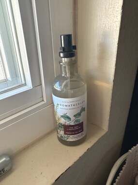 Bath & Body Works Aromatherapy Tea Tree + Peppermint Essential Oil Mist
